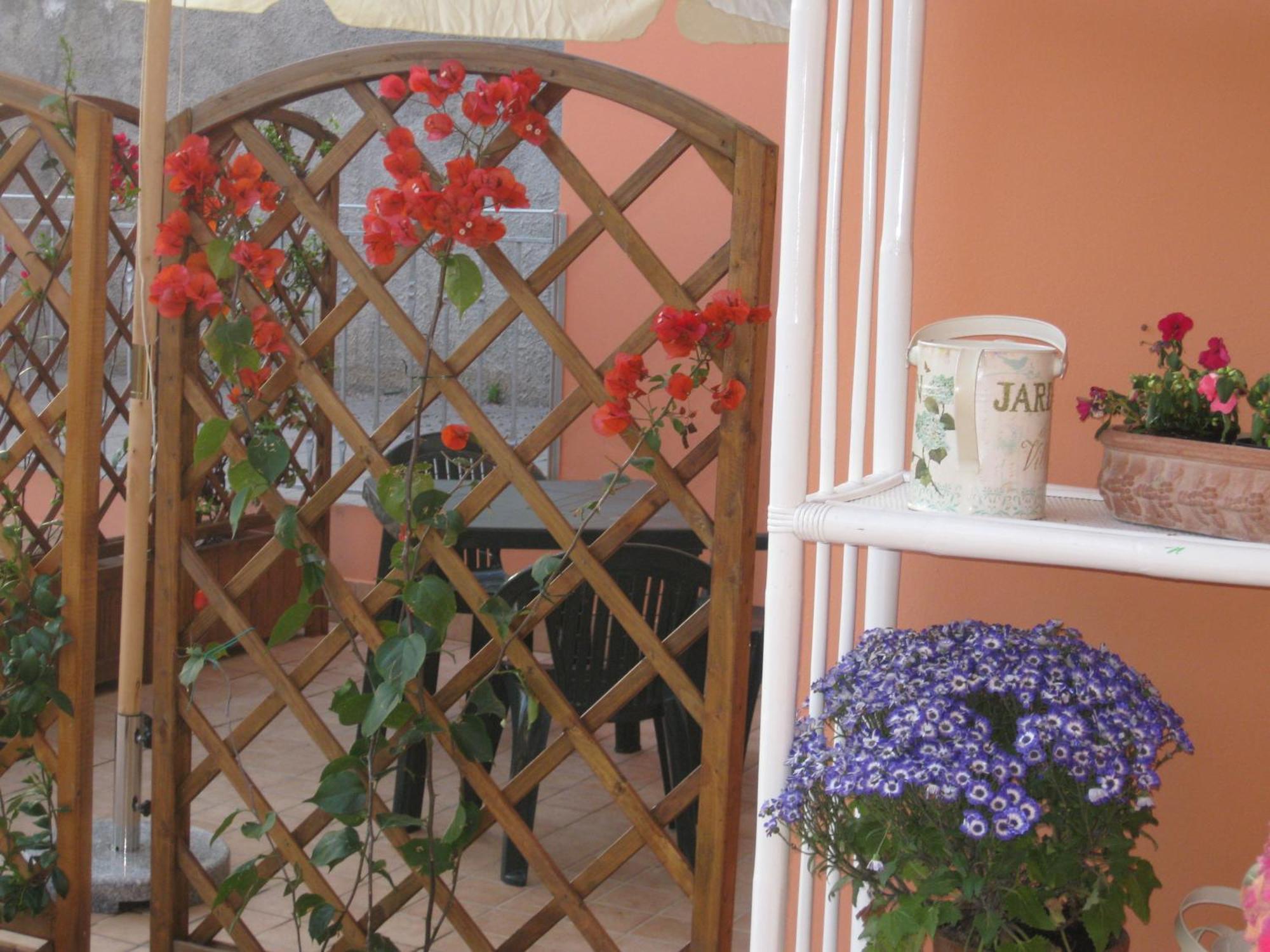 A Due Passi Dal Mare B&B Numana Zewnętrze zdjęcie