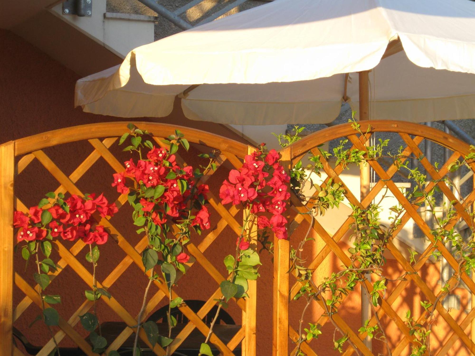 A Due Passi Dal Mare B&B Numana Zewnętrze zdjęcie