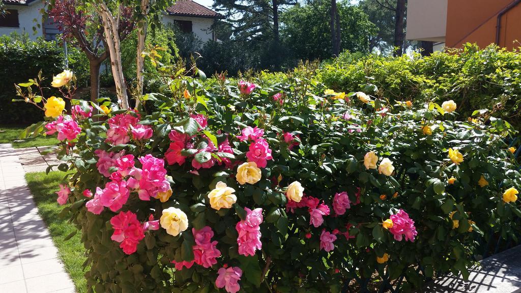 A Due Passi Dal Mare B&B Numana Zewnętrze zdjęcie