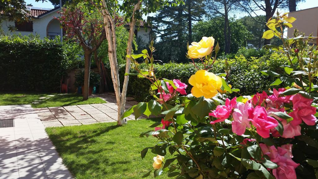 A Due Passi Dal Mare B&B Numana Zewnętrze zdjęcie